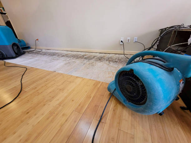 Professional Water Extraction technician working in Charleston, SC